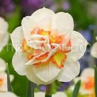 Без названия (2) Без названия (2)