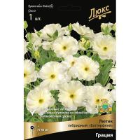 Лютик гибридный Батерфляй Грация /К 839676