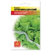 PROROST Салат Кучерявец Одесский 1г