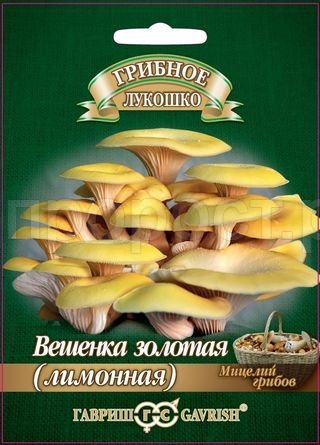 Мицелий гриба Вешенка золотая Лимонная на древесной палочке 12шт Мицелий гриба Вешенка золотая Лимонная на древесной палочке 12шт