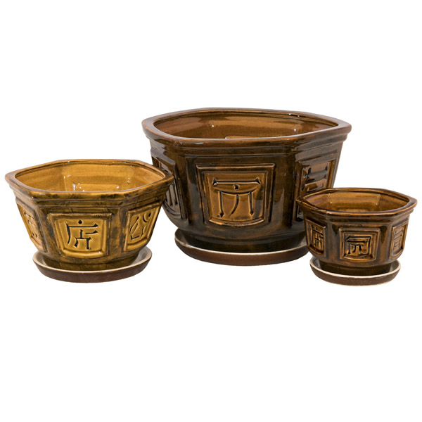 Бонсайка из 3-х коричневый