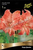 Амариллис махровый Леди Джейн (24/26) 1 шт