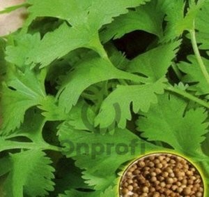 PROROST XXXL Пряность Кориандр Армянский 20г