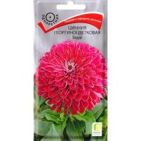 Поиск Цинния георгиноцветковая Бордо 0,4г