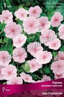 Герань кроваво-красная  вар.Стриатум (I) 1 шт 