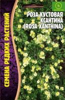 Роза кустовая Ксантина 10 шт  Роза кустовая Ксантина 10 шт
