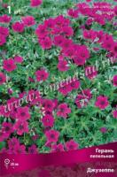 Герань пепельная Джузеппе (I) 1 шт 