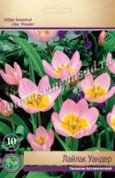 Тюльпан Ботанический Лайлак Уандер (нежно-сирен-роз, лимонно-жёлт у основания, 10шт, 6/8) 764107