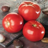 Томат Белла роса F1 1000 шт