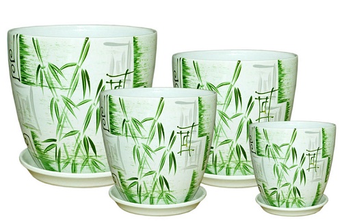 Бутон Бамбук люкс из 4-х /321209