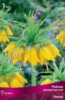 Рябчик Императорский Лютея