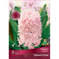 Гиацинт Эприкот Пэшн