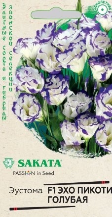 Эустома Эхо пикоти голубая Саката 4шт Эустома Эхо пикоти голубая Саката 4шт