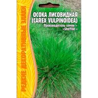 Редкие растения Осока Лисовидная (Carex vulpinoidea)100шт.