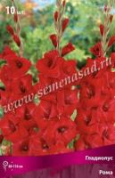 Гладиолус Крупноцветковый Рома (10/12) 10 шт