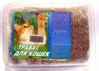 Травка для кошек в большом контейнере