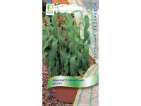 Поиск Комн. Эвкалипт лимонный Цитрус 5 шт