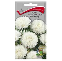 Астра низкорослая Белый ковер 0,2г  Астра низкорослая Белый ковер 0,2г