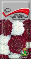 Скабиоза тёмно-пурпурная Пламенное сердце 10 шт Скабиоза тёмно-пурпурная Пламенное сердце 10 шт