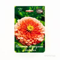 Каприс Цинния Мишутка лососевая 20*1