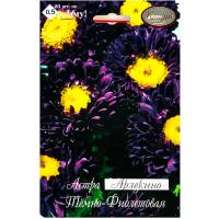 Астра Арлекино Фиолетовая 20*1