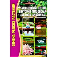 Лотос Гигантский Виктория Амазонская 2 шт