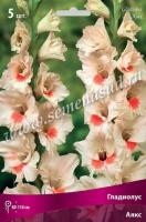 Гладиолус Крупноцветковый Аякс (12/14) 5 шт