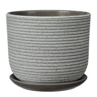 Лоза зелено-серый бук №3 2,9л