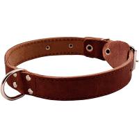 Ошейник кожа 30мм с кольцом посередине 44-53см/00030031/Каскад  Ошейник кожа 30мм с кольцом посередине 44-53см/00030031/Каскад