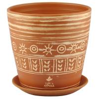 ТерраАурика Скандии 5л 647231