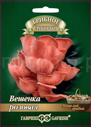 Мицелий гриба Вешенка Розовая на древесной палочке 12шт Мицелий гриба Вешенка Розовая на древесной палочке 12шт