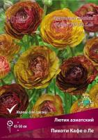 Лютик Пикоти Кафе о Ле 7-8 10шт 839642
