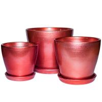 АРКТИКА вереск из 3-х 322-JJ7001В