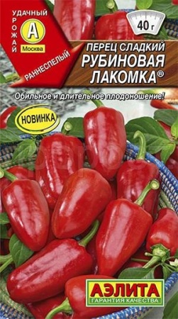 Рассада семян в домашних условиях Рассада семян в домашних условиях