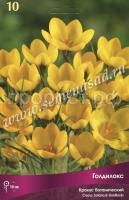 Крокус Голдилокс Крокус Голдилокс