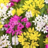 op1ivo0wnyi2ro89iwn30noxp6tibobh op1ivo0wnyi2ro89iwn30noxp6tibobh