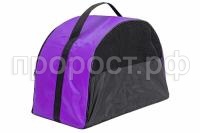 9049fiol_1 9049fiol_1