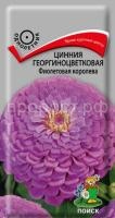 Цинния георгиноцветковая Фиолетовая королева
