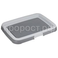 1845смок 1845смок