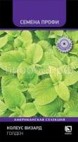 koleus-vizard-golden-10sht-poisk koleus-vizard-golden-10sht-poisk