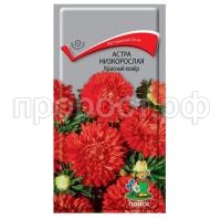 Астра-низкорослая-Красный-ковер-0,2г-Поиск Астра-низкорослая-Красный-ковер-0,2г-Поиск