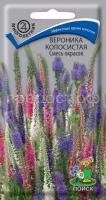 Вероника колосистая Смесь окрасок Вероника колосистая Смесь окрасок