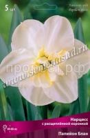 Нарцисс с Расщеплённой коронкой Папийон Блан (5шт, 12-14) 723265 Нарцисс с Расщеплённой коронкой Папийон Блан (5шт, 12-14) 723265