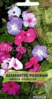 Катарантус розовый Смесь окрасок Катарантус розовый Смесь окрасок