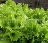 31c1ecf97f1f562291f2362fe0f5b9fc