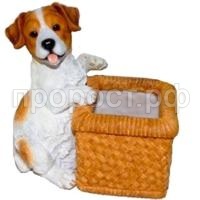 щенок с корзин