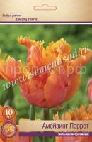 амейзинг пэррот