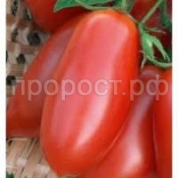 Без названия Без названия