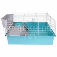 41694biryuz-bel_1 41694biryuz-bel_1