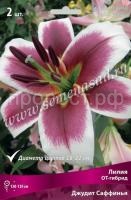 Лилия ОТ-Гибрид Джудит Саффинья (14-16) 2шт 736206 Лилия ОТ-Гибрид Джудит Саффинья (14-16) 2шт 736206